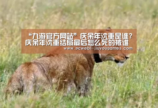 九游网页版