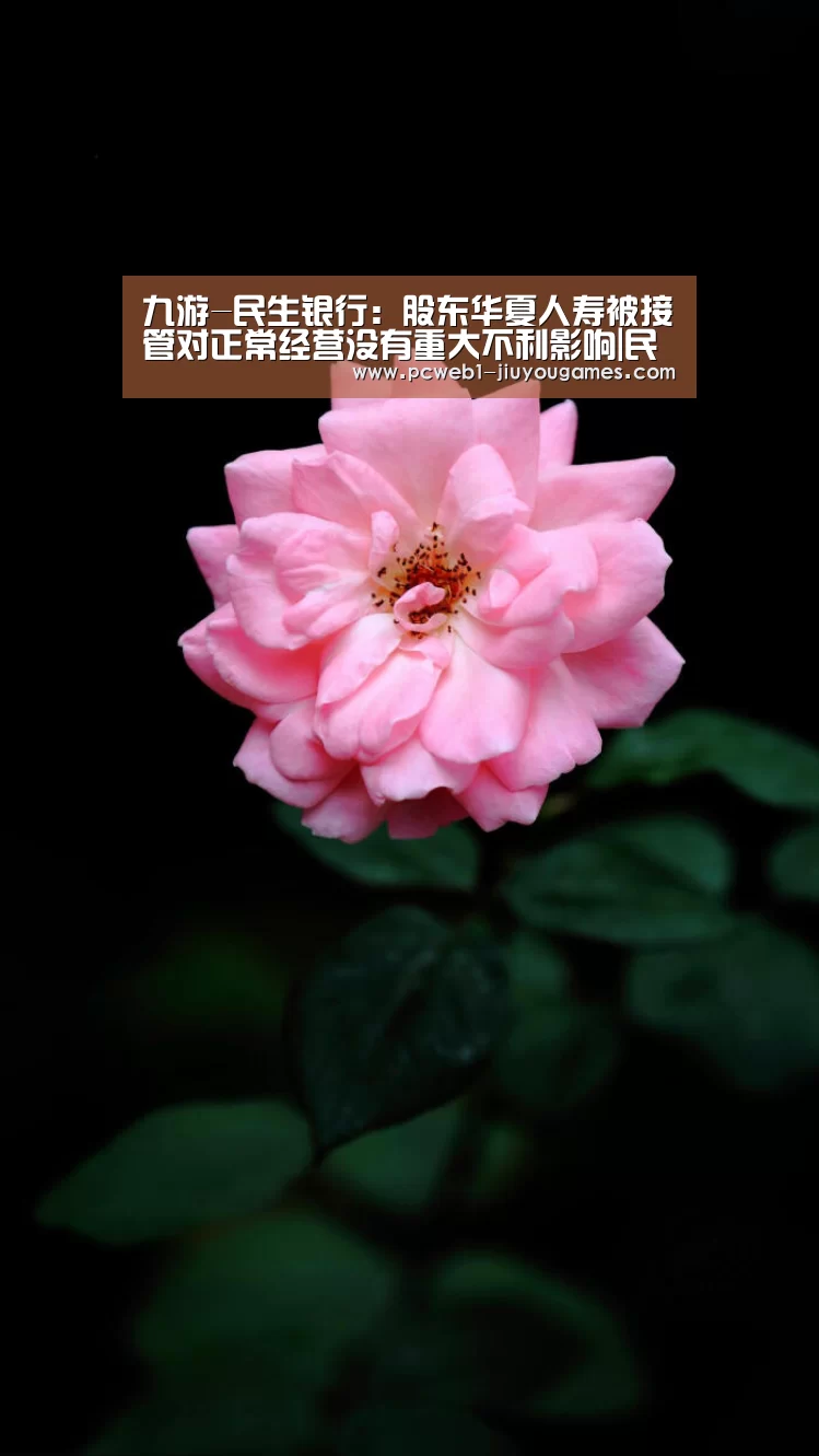 九游官方网站